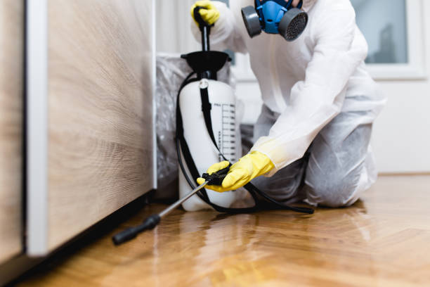 Best Affordable Pest Control Services  in Woodbury Heights, NJ