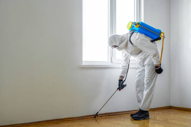 Best Pest Control for Restaurants  in Woodbury Heights, NJ